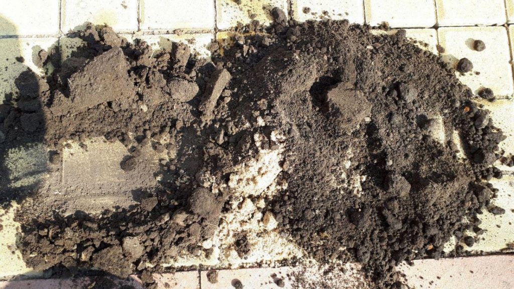 Компания «ЗеленГрунт»