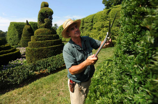 Компания «Шалений Садівник»