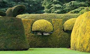 Компания «Шалений Садівник»