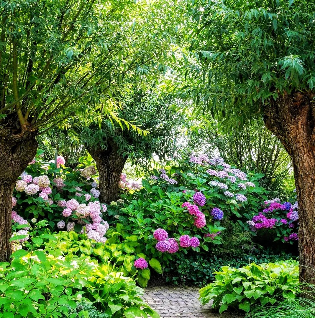 Интернет-магазин FermerShop