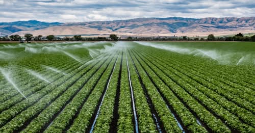 Интернет-магазин автоматического полива Avtopoliv