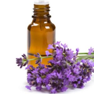 Интернет-магазин «Моя Дача»