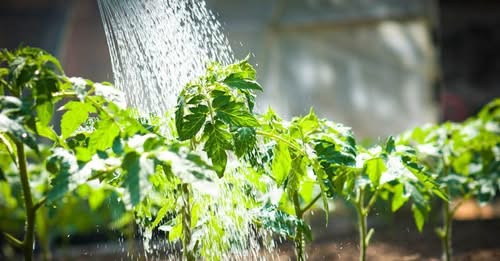 Интернет-магазин автоматического полива Avtopoliv