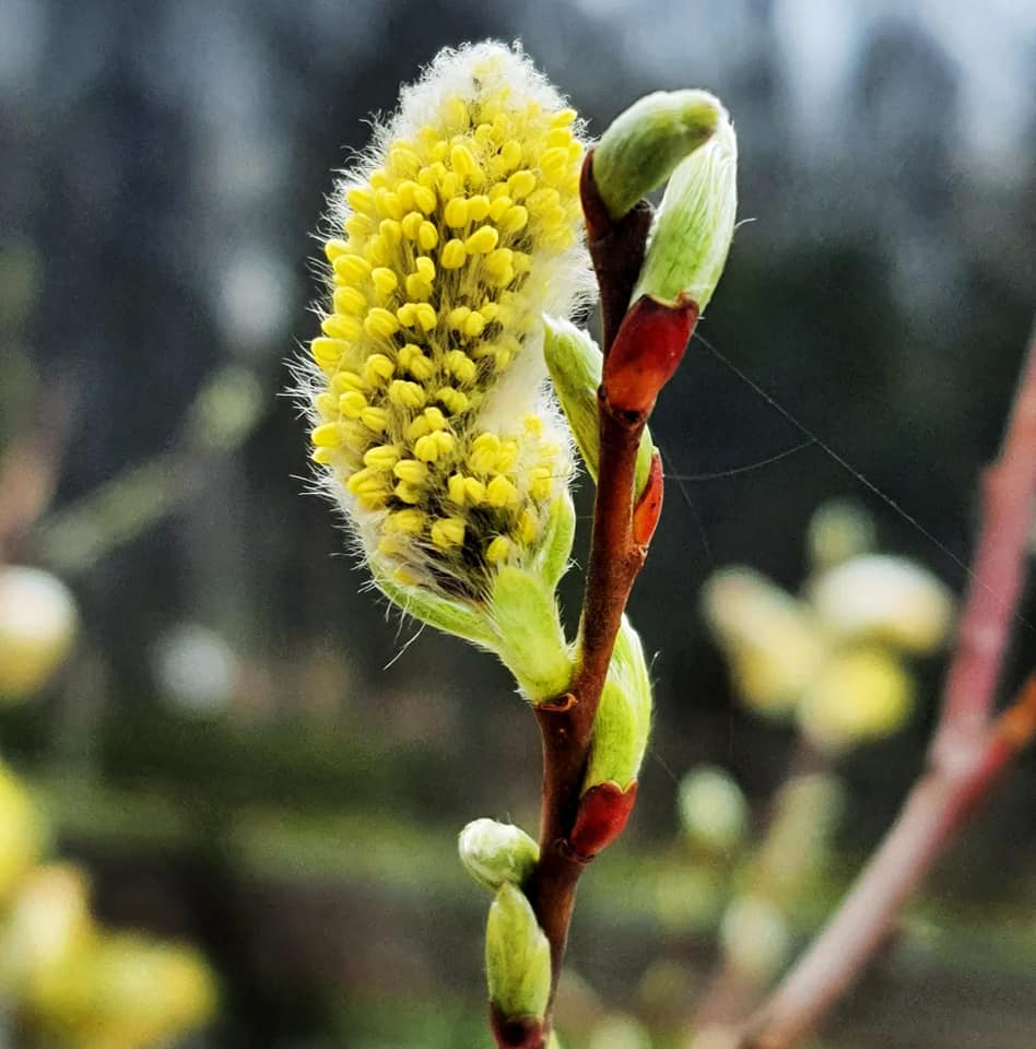 Интернет-магазин FermerShop