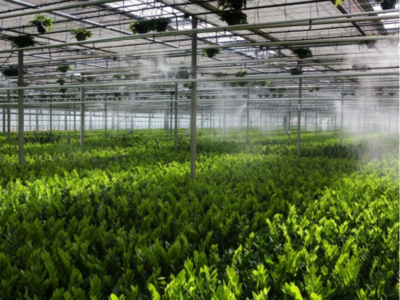 Интернет-магазин FermerShop