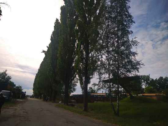 Компания ДРЕВОРЕЗ