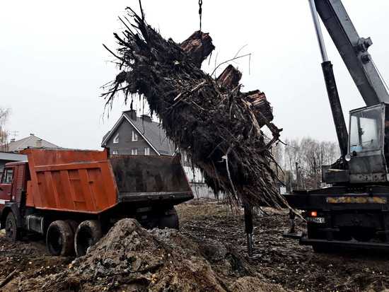 Компания ДРЕВОРЕЗ