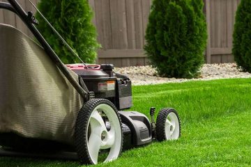 Компания «Газон Мастер»