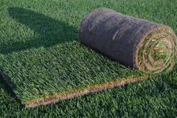 Компания «Газон Мастер»