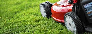 Компания «Газон Мастер»