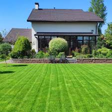 Компания «Газон Мастер»