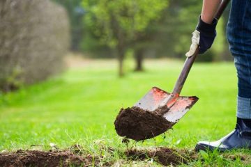 Компания «Газон Мастер»