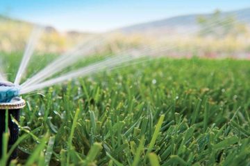 Компания «Газон Мастер»