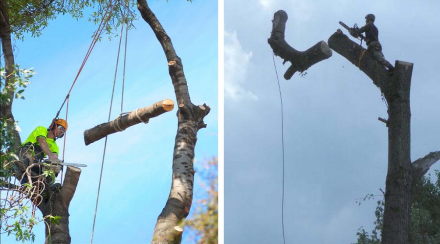 Компания «АЛЬТИУС»