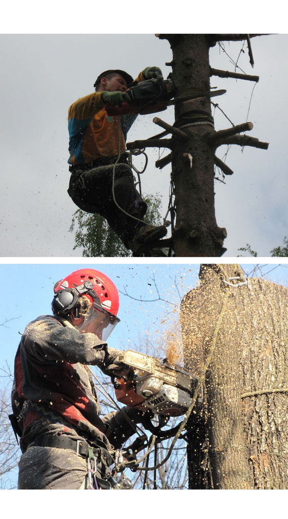 Компания «АЛЬТИУС»