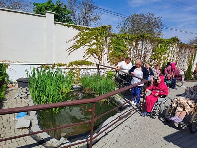 Мережа пансіонатів для літніх людей «Вілла Добра»