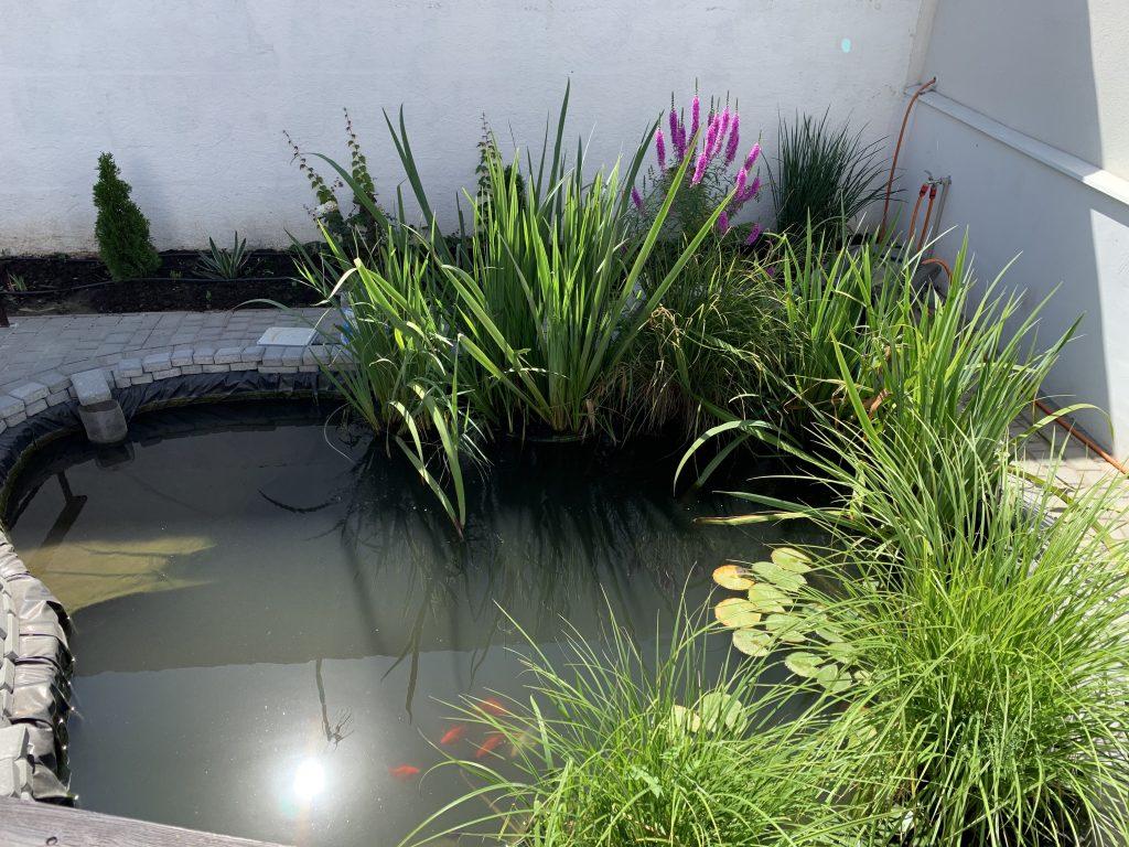 Мережа пансіонатів для літніх людей «Вілла Добра»