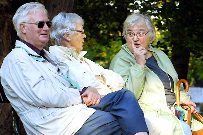 Мережа пансіонатів для літніх людей «Вілла Добра»