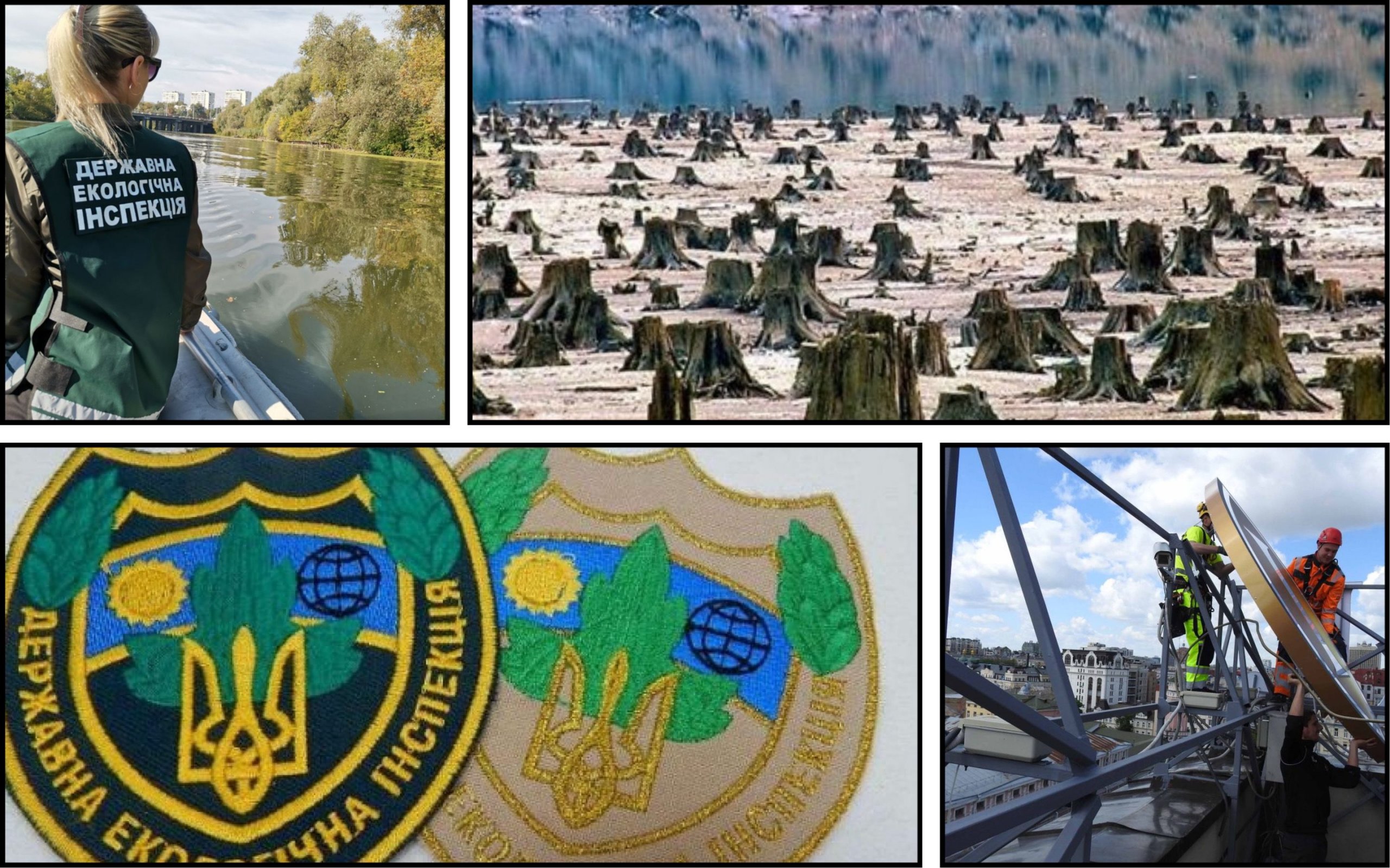 Державна екологічна інспекція