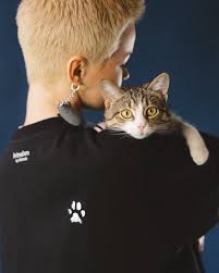 Благодійний фонд «UAnimals»