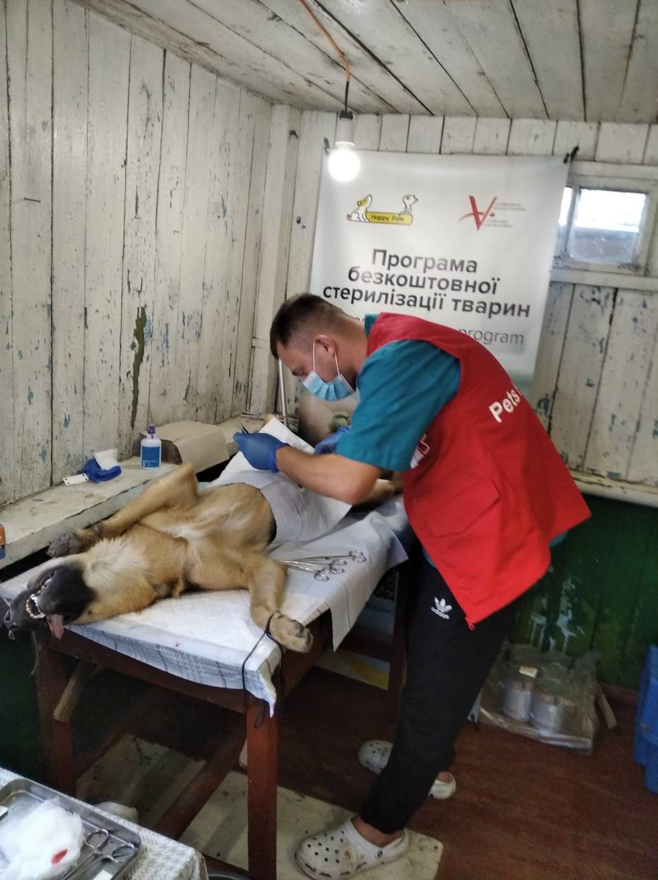 Благодійне об'єднання «Save The Animals»